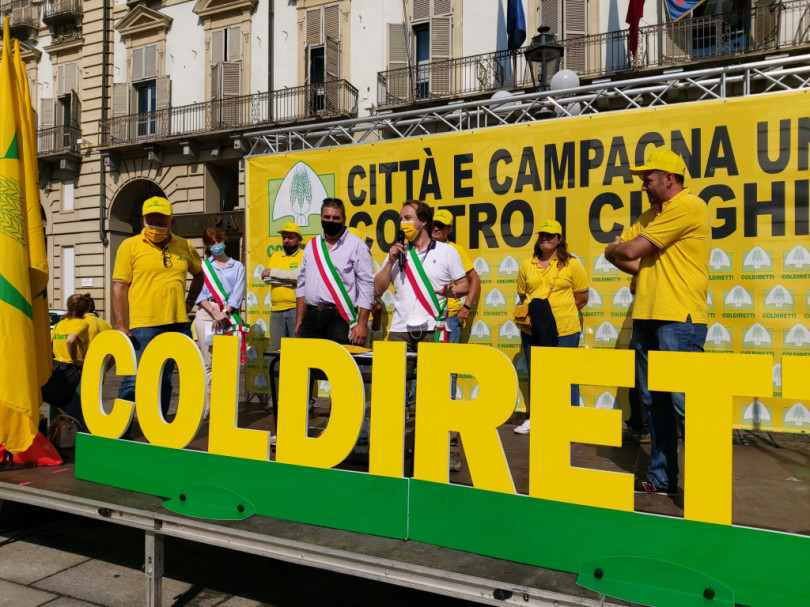 Cinghiali: «Non è più il tempo per affrontare il problema, ma è ora di risolverlo»